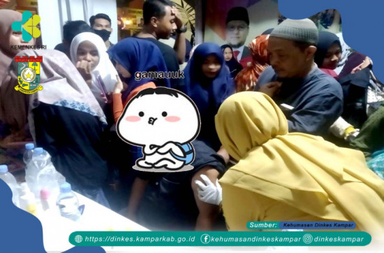 Stand Dinas Kesehatan di Festival Bagholek Godang 2022 Banjir Pelayanan dan Doorprize