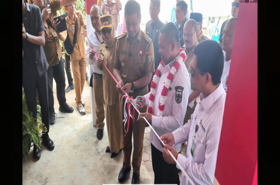 Peluncuran Koperasi Desa Merah Putih sekaligus Peresmian Klinik Merah Putih di Desa Pulau Gadang.
