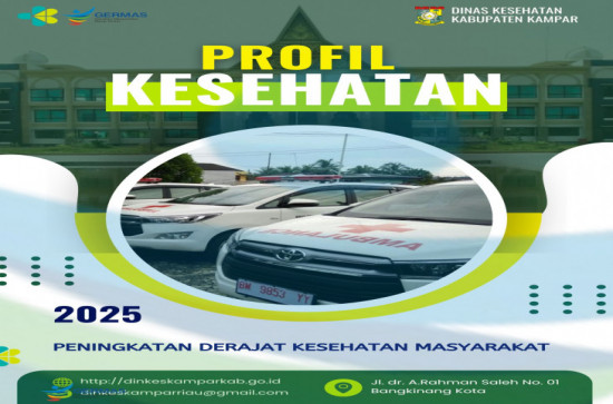 Ketersediaan Data Profil Kesehatan Kabupaten Kampar Tahun 2025 Berdasarkan Data Tahun 2025